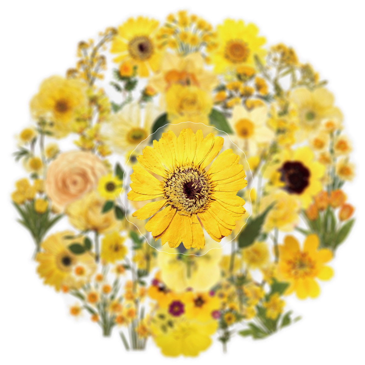 50Pcs Sunflower Transparent Ye - Phone Cases Yellow recensione e prezzo